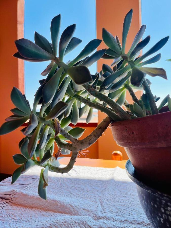 Casa Di Rosy Lejlighed San Sperate Eksteriør billede