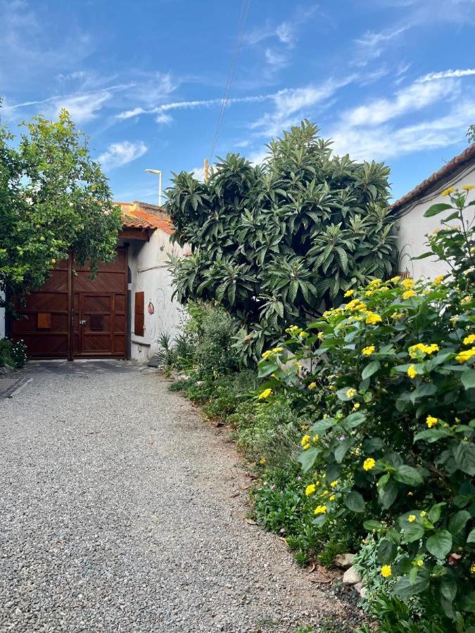 Casa Di Rosy Lejlighed San Sperate Eksteriør billede